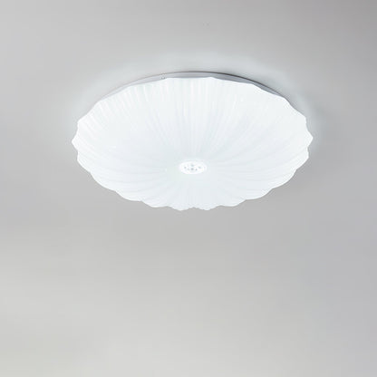 Conque Acrylic Shell LED Ceiling Light product photo