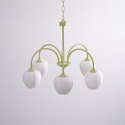 Tulipa Tulip Glass Multi Head Chandelier Ceiling Light