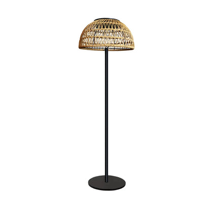 Brynn Solar Outdoor Light