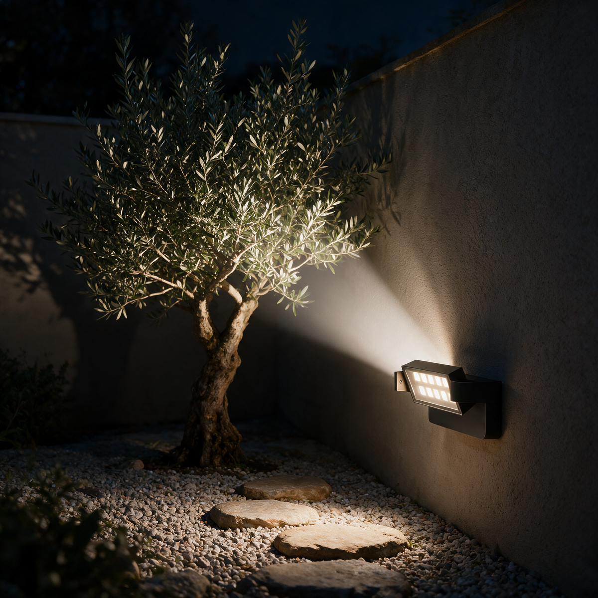 Orbis wall light angled to uplight an olive tree in a walled garden at night