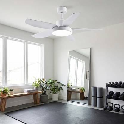 Galene white ceiling fan with LED light in a bright home gym