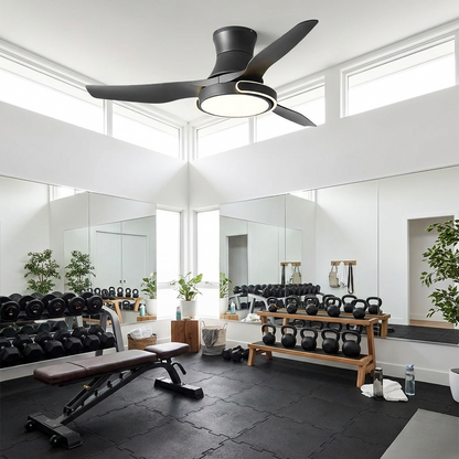 Kestral black ceiling fan light in a modern home gym