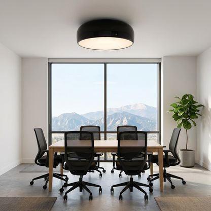 Corvina dome ceiling light in Black in an office meeting room